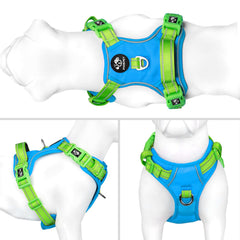 PHOEPET No Pull Harness reflective straps boost night visibility during dusk strolls.