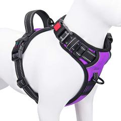 PHOEPET No Pull Harness for small dogs with front clip showing controlled walking.