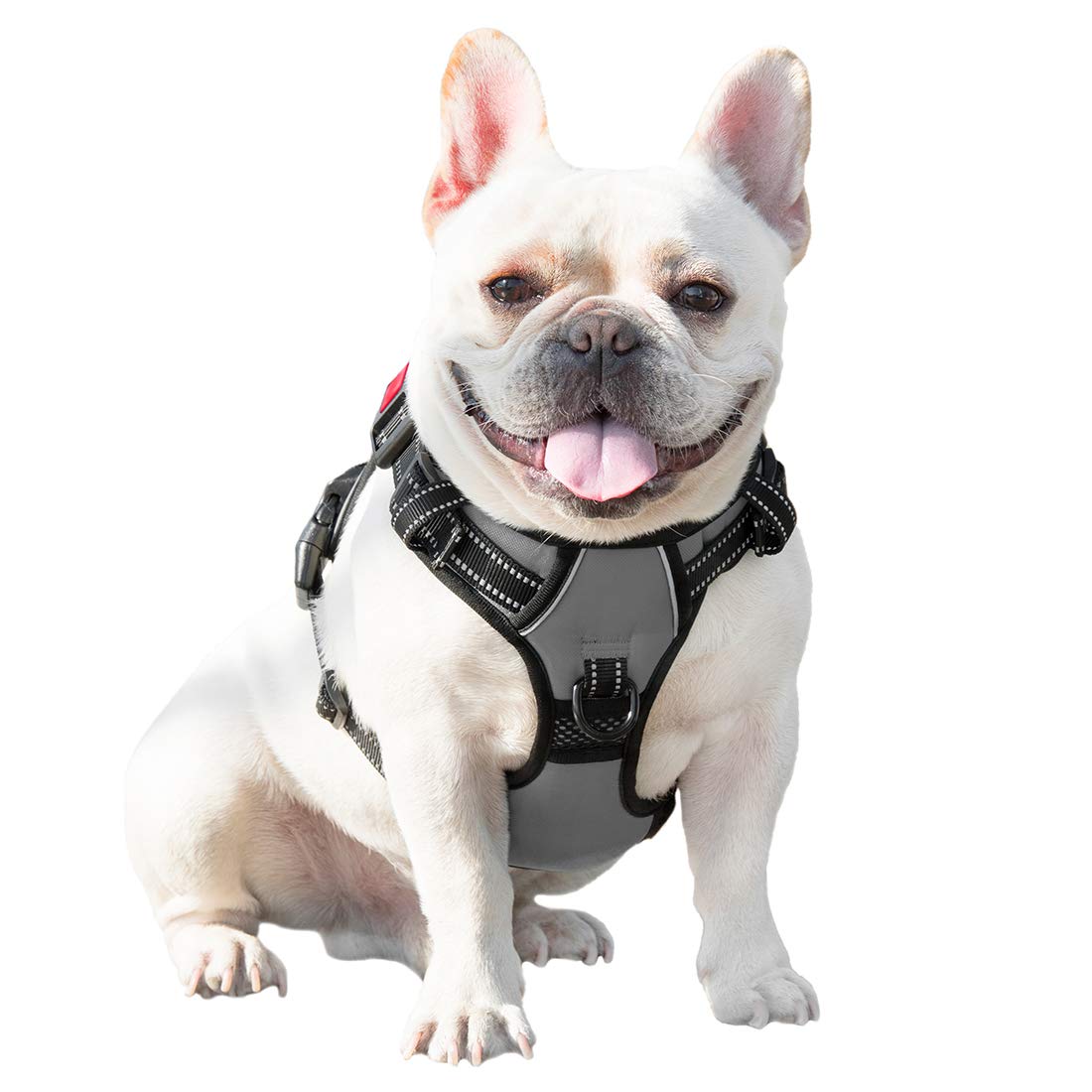 PHOEPET No Pull Harness with two D-rings supports flexible leash use.