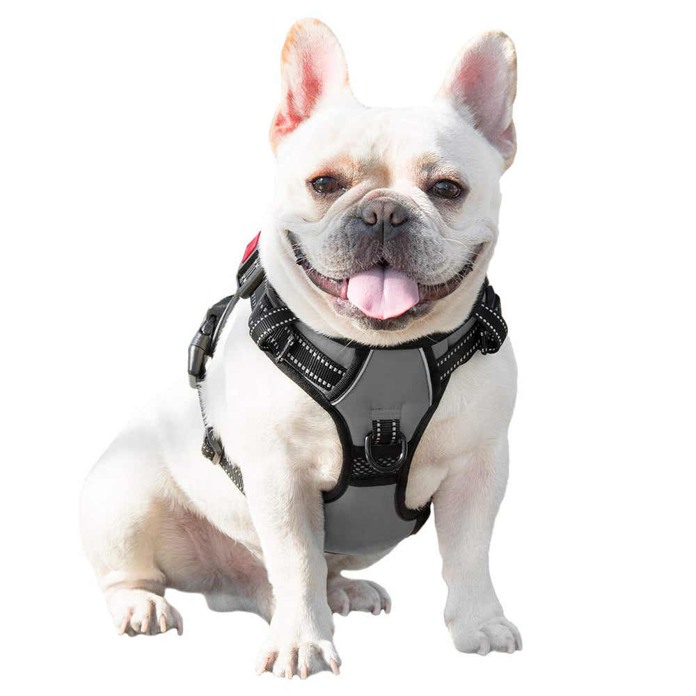PHOEPET No Pull Harness with two D-rings supports flexible leash use.