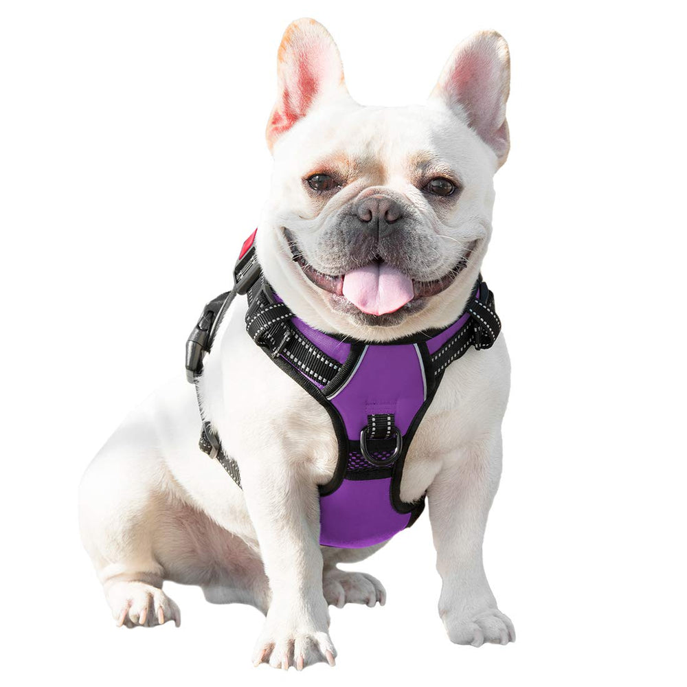 PHOEPET purple XS harness detail, highlighting color and compact fit for small dogs.