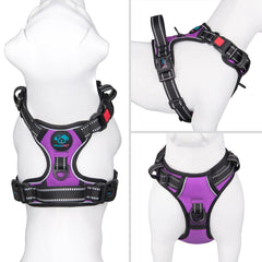 PHOEPET reflective harness back view showing dual leash rings for versatility