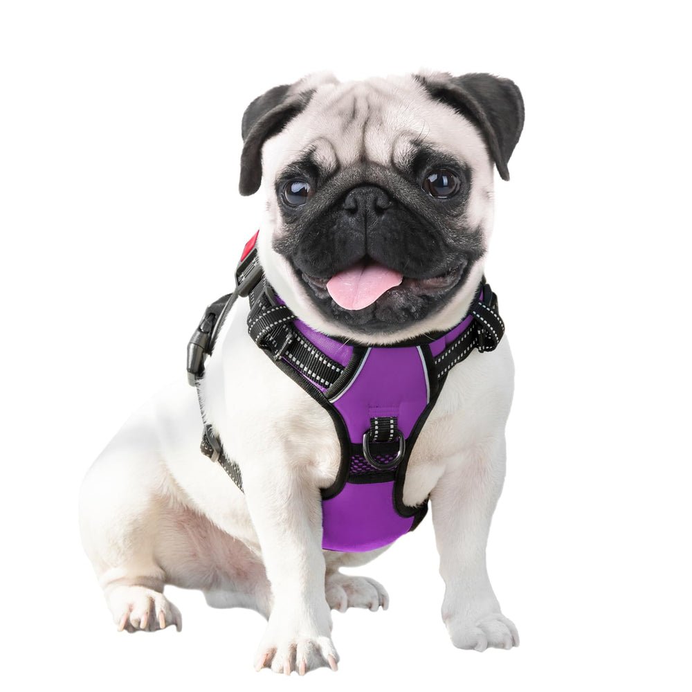 PHOEPET reflective material shown for nighttime visibility and safety