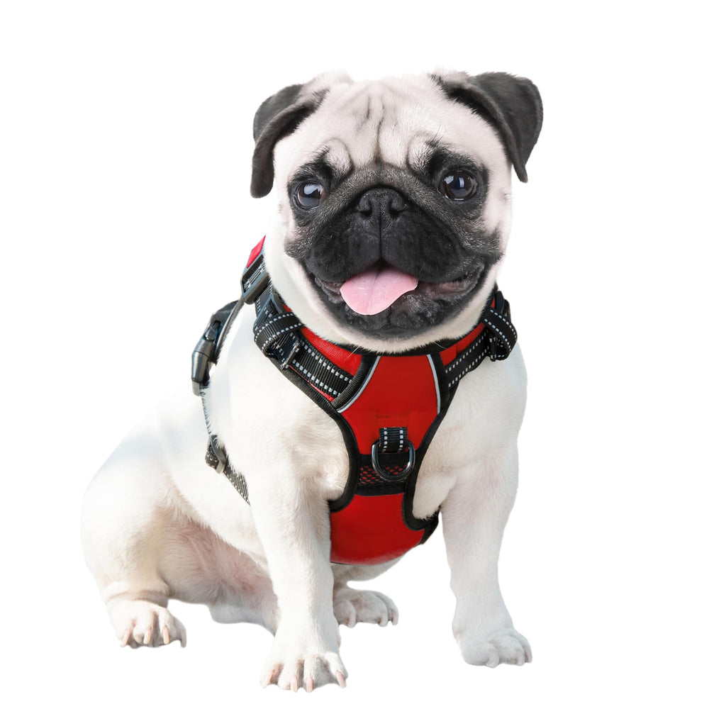 PHOEPET Reflective Harness XL red worn by dog in car-friendly setup for comfort
