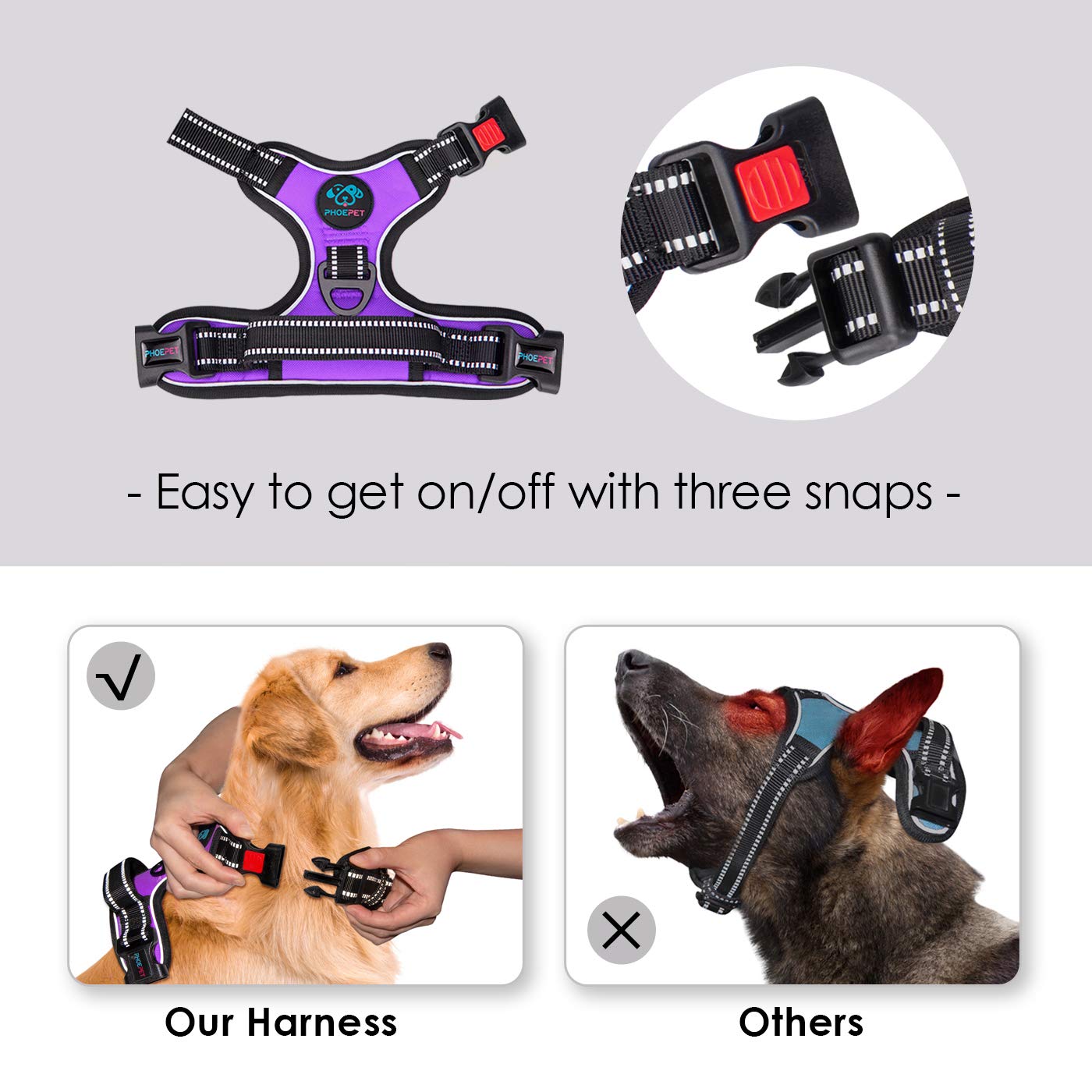 PHOEPET reflective harness emphasizes visibility during night safety walks.