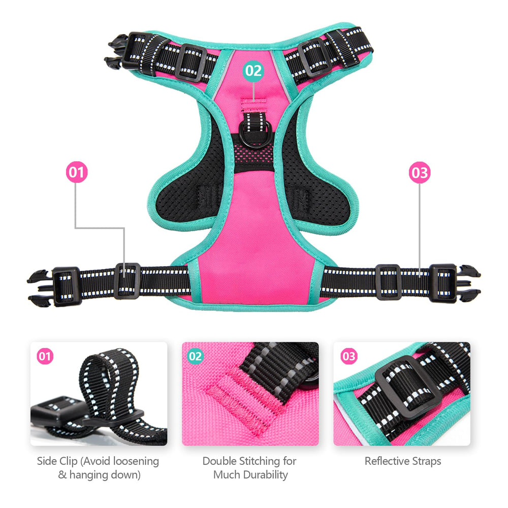 PHOEPET training handle close-up pink highlights easy control during cautious approaches
