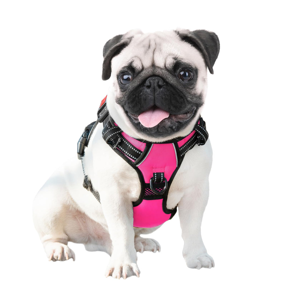 PHOEPET two-metal-rings design allows versatile leash attachment for back or front control.