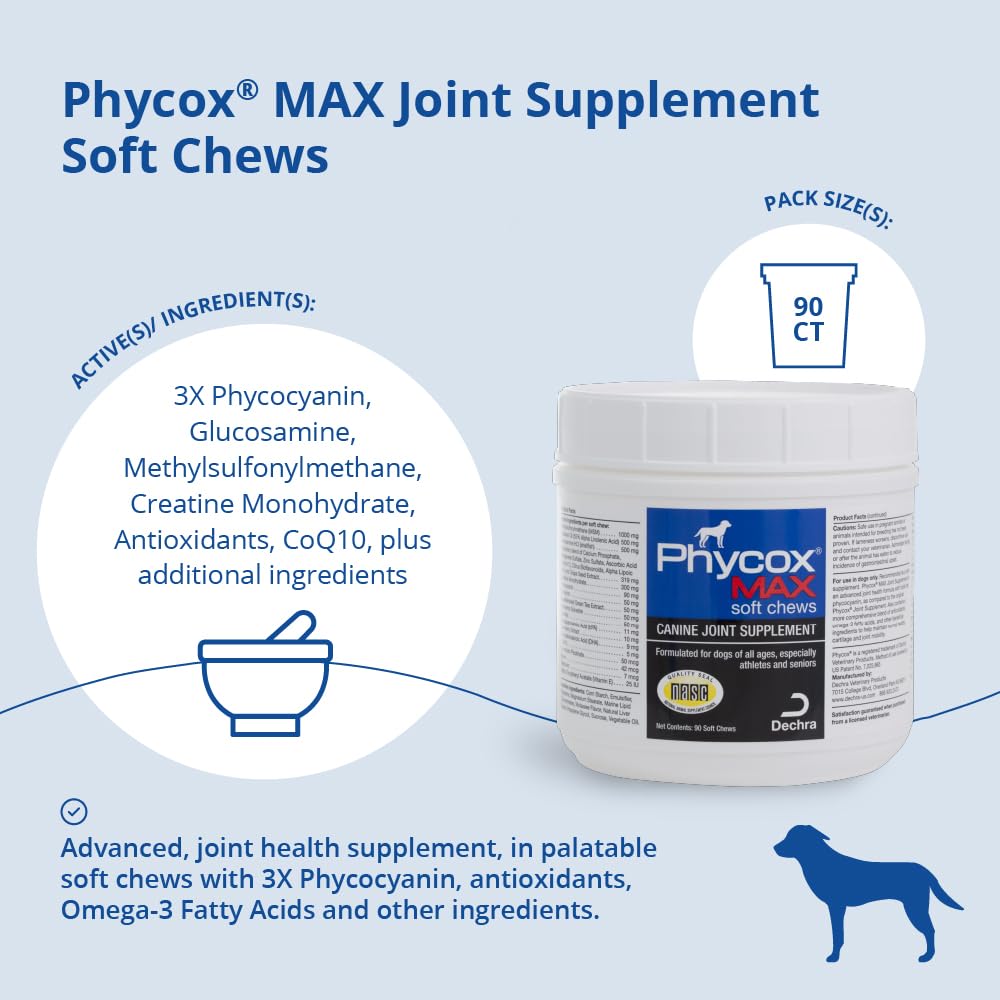 Phycox Max dog joint soft chews bottle opened with chews ready to serve