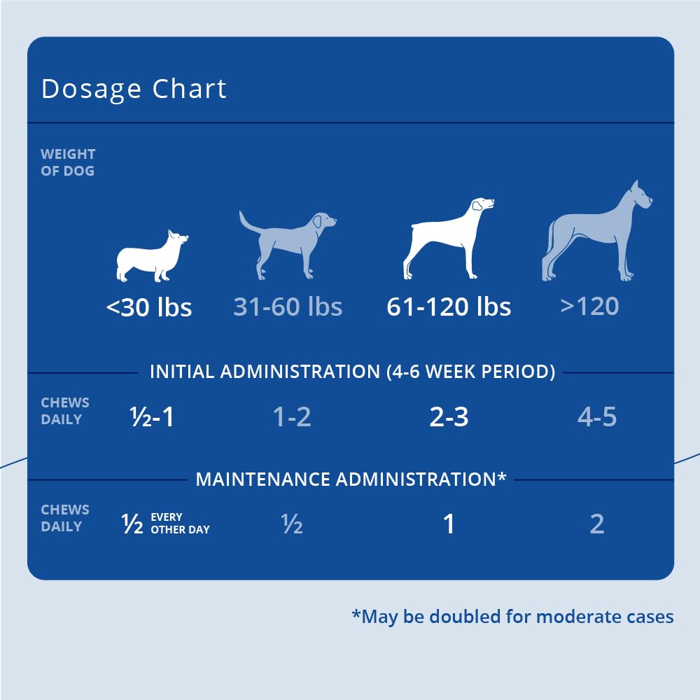 Phycox Max dog joint soft chews dog ready to eat on counter