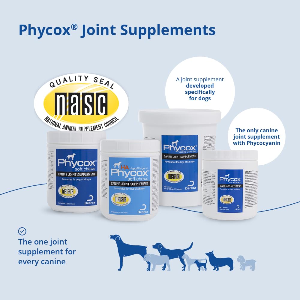 Phycox Max dog joint soft chews on kitchen routine setup