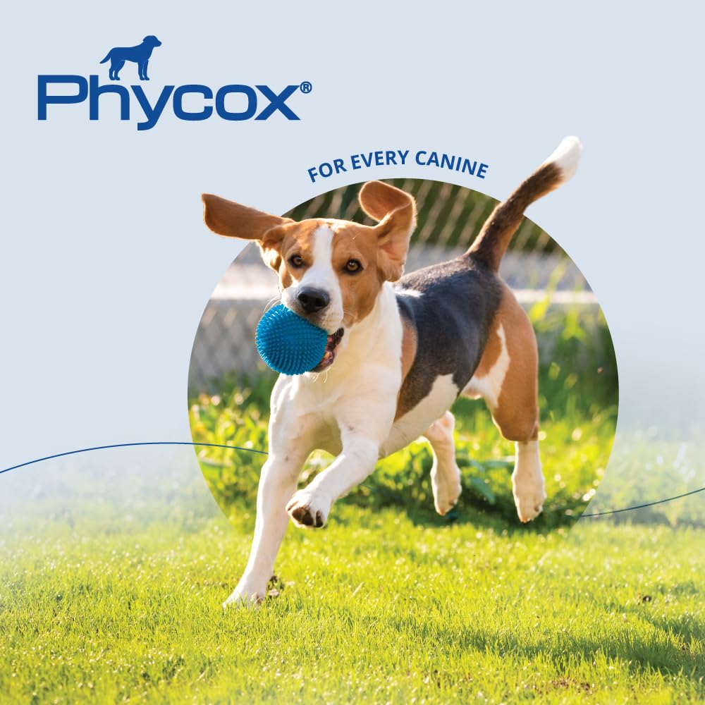Phycox Max dog joint soft chews lifestyle shot with happy dog