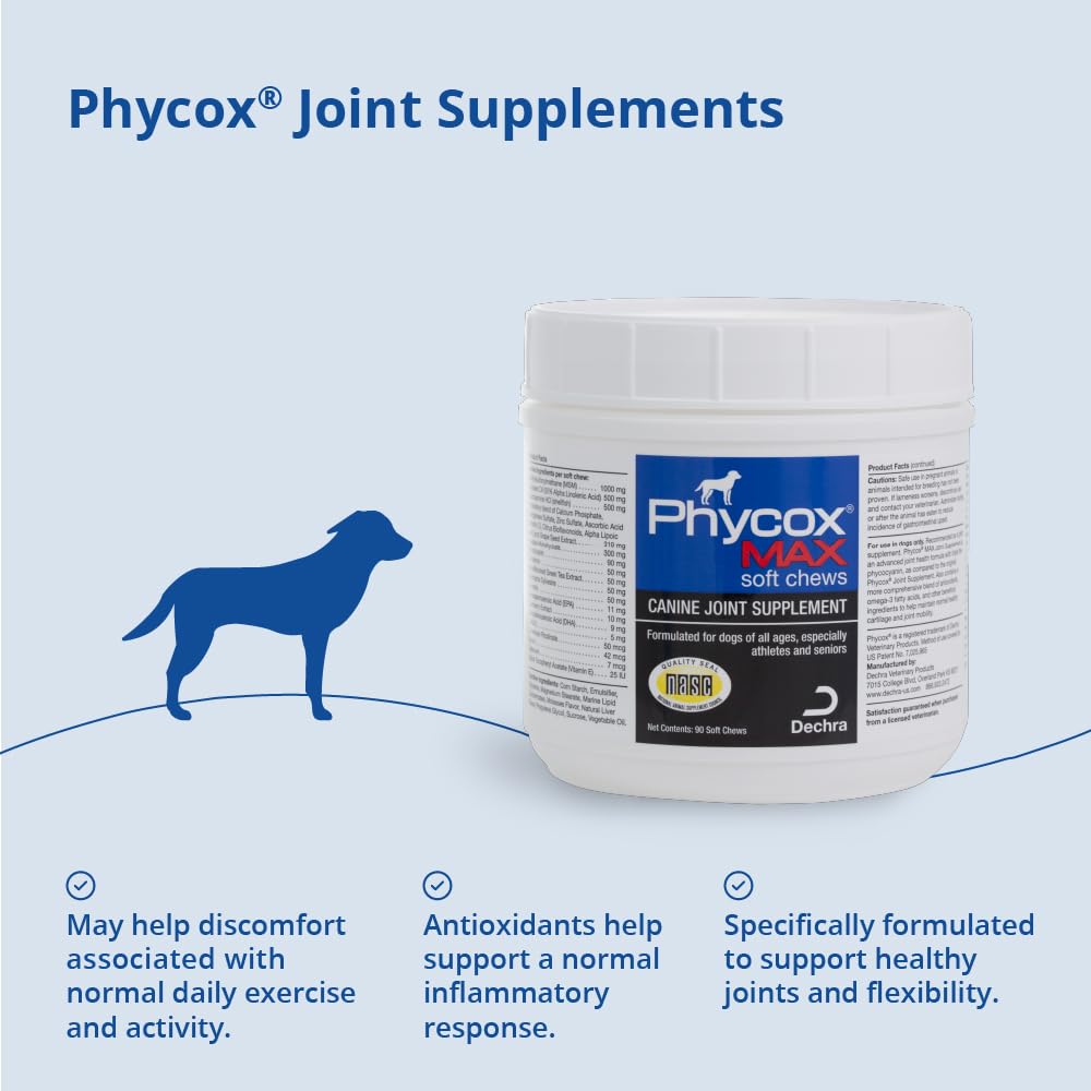 Phycox Max dog joint soft chews serving in hand for quick daily dosing