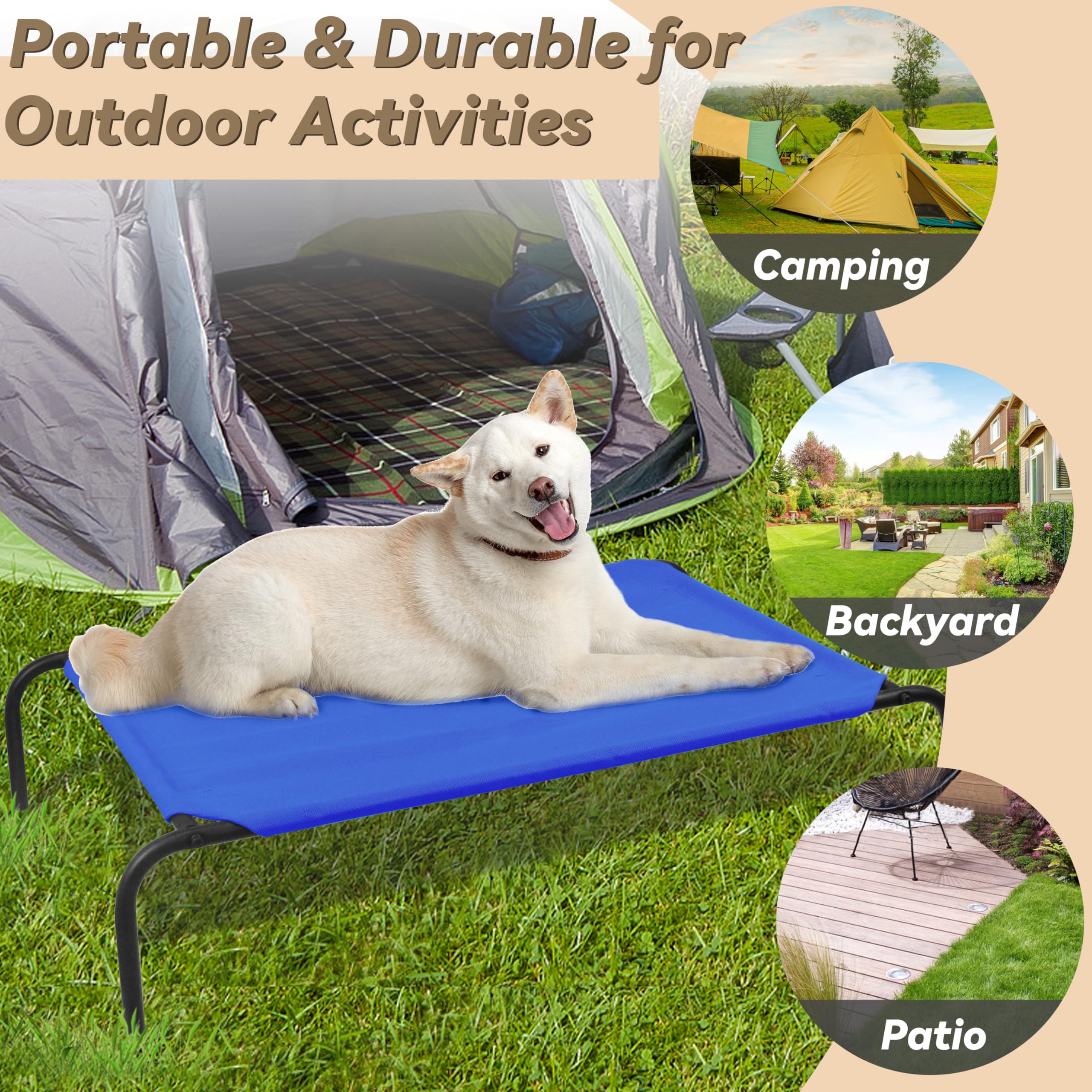 PHYEX Elevated Dog Bed outdoor-use demonstrates versatile resting spots on sun or shade