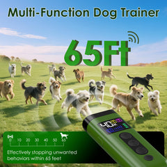 Phzibor dog bark deterrent with color display aids easy operation and mode selection.