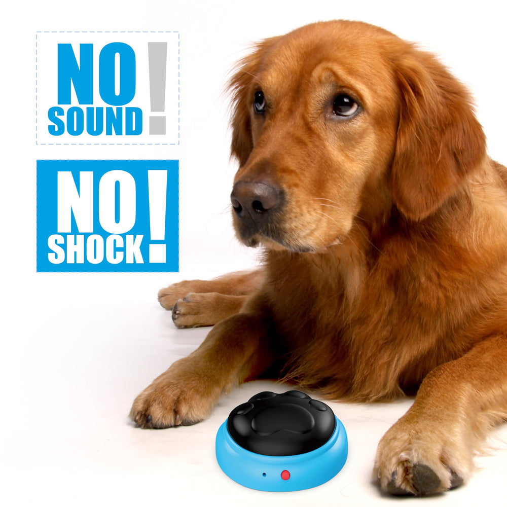 PICAPETS slow-feeding mode helps pace treats for mindful snacking.