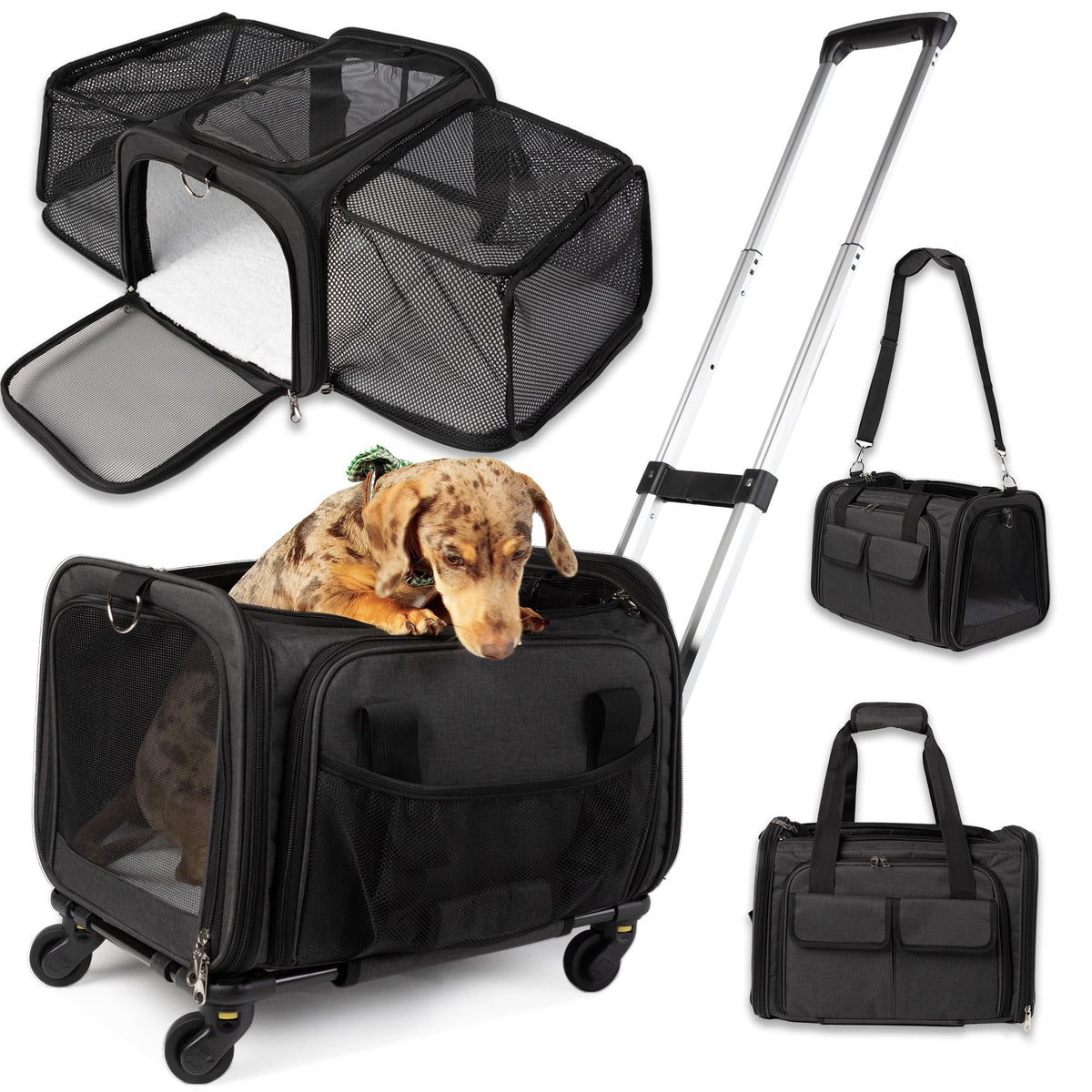 Picea pet carrier with wheels shown under-seat for in-cabin Delta travel.