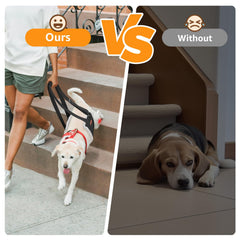 PICK FOR LIFE adjustable dog lift harness rear view enhances stability during transitions and standing