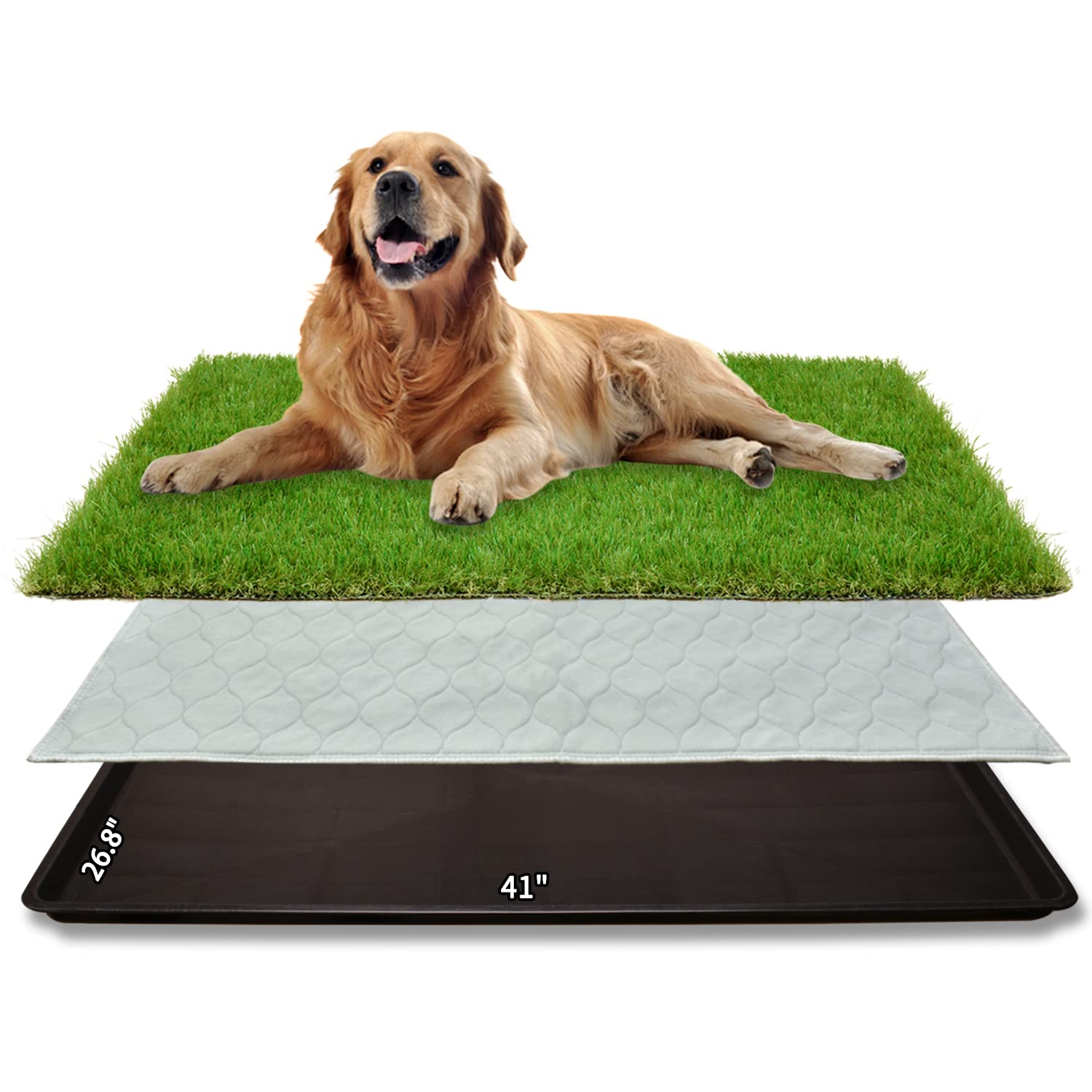 PICK FOR LIFE dog grass patch top view for large indoor potty training