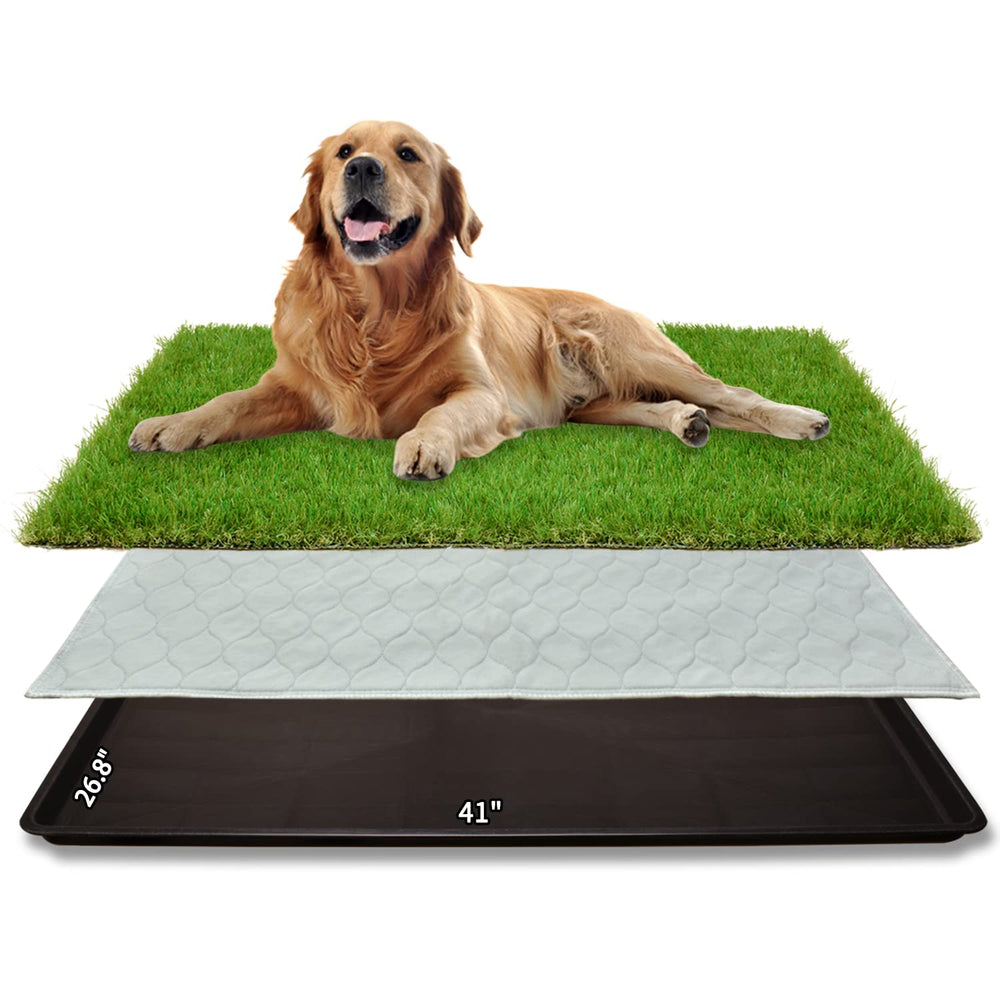 PICK FOR LIFE dog grass patch top view for large indoor potty training
