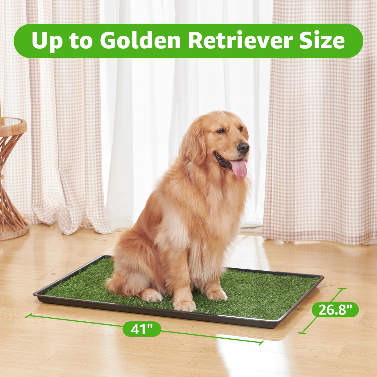 PICK FOR LIFE dog litter box tray system shown for apartment use