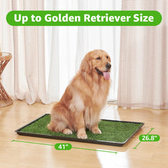 PICK FOR LIFE dog litter box tray system shown for apartment use
