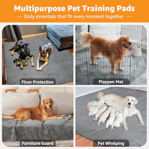 Pick For Life pad helps manage senior dog incontinence gracefully.