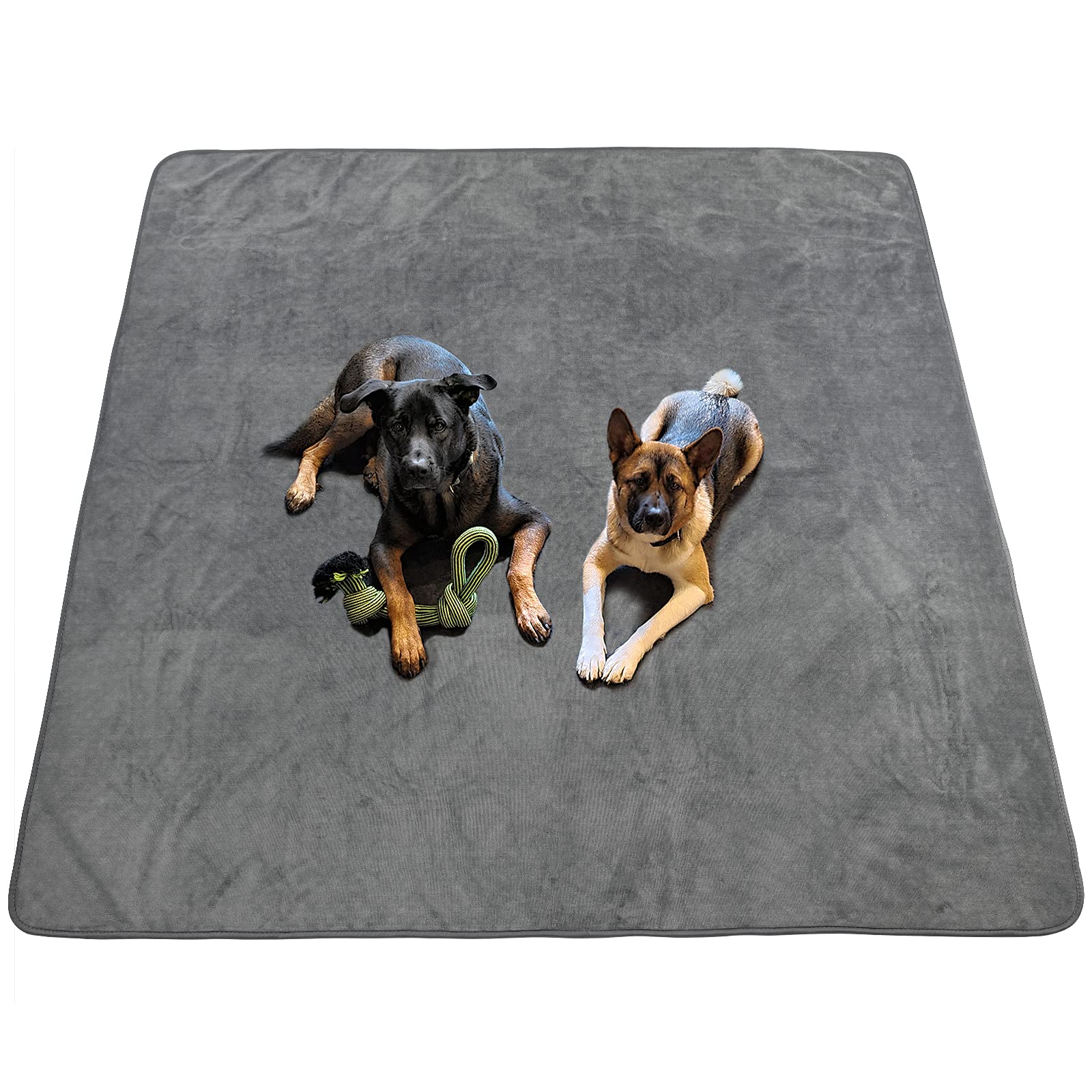 Pick For Life dog pee pad 65x48 inch for training and floor protection.