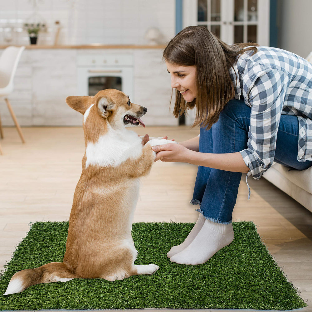 PICK FOR LIFE simple guide to training with dog grass pad