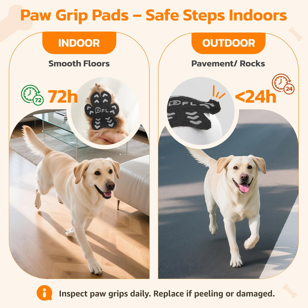 PICK FOR LIFE floor traction helps senior dogs navigate slippery surfaces safely.