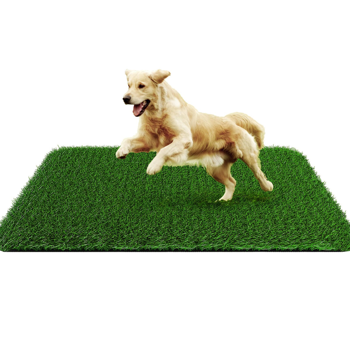PICK FOR LIFE Grass Pad 28x40 inches indoors for dog potty training.