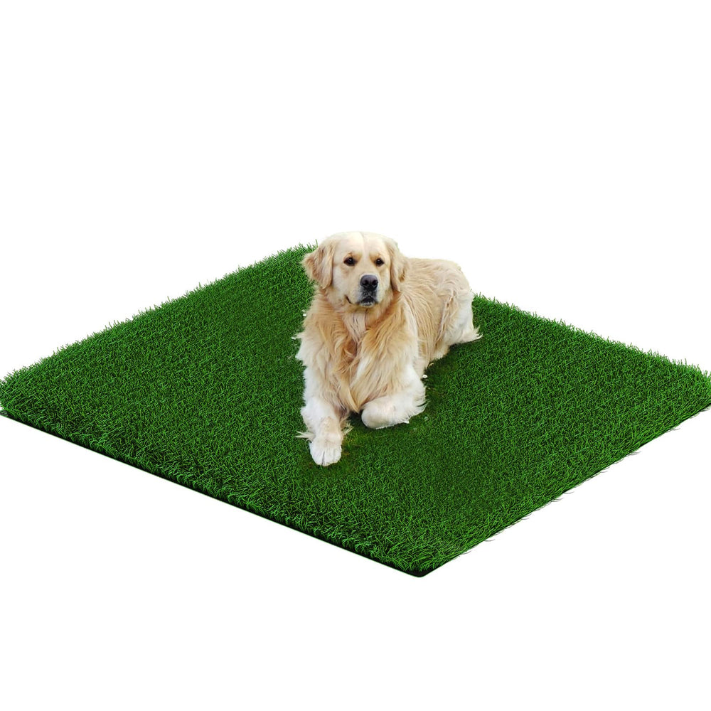 PICK FOR LIFE Grass Pad 33x33 full view for spacious dog potty area.