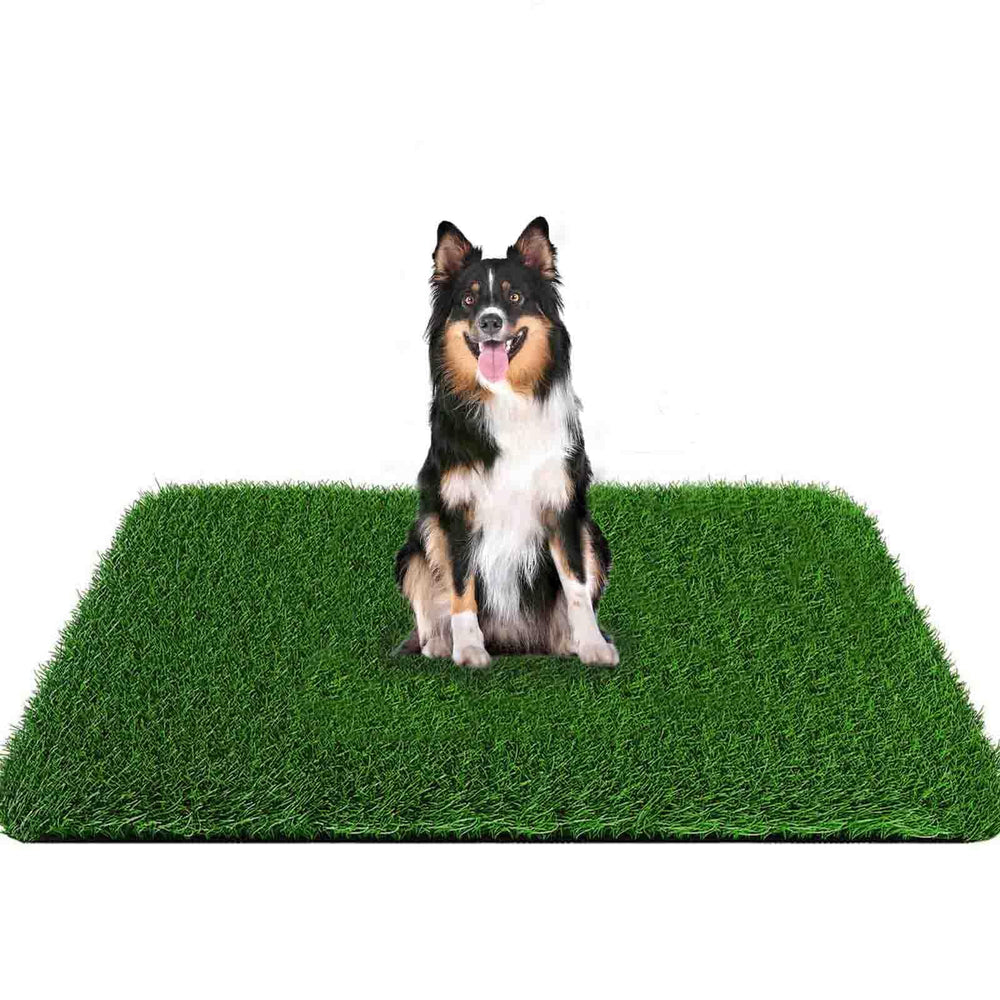 PICK FOR LIFE Grass Pad for Dogs shows a large surface ideal for potty breaks and training.