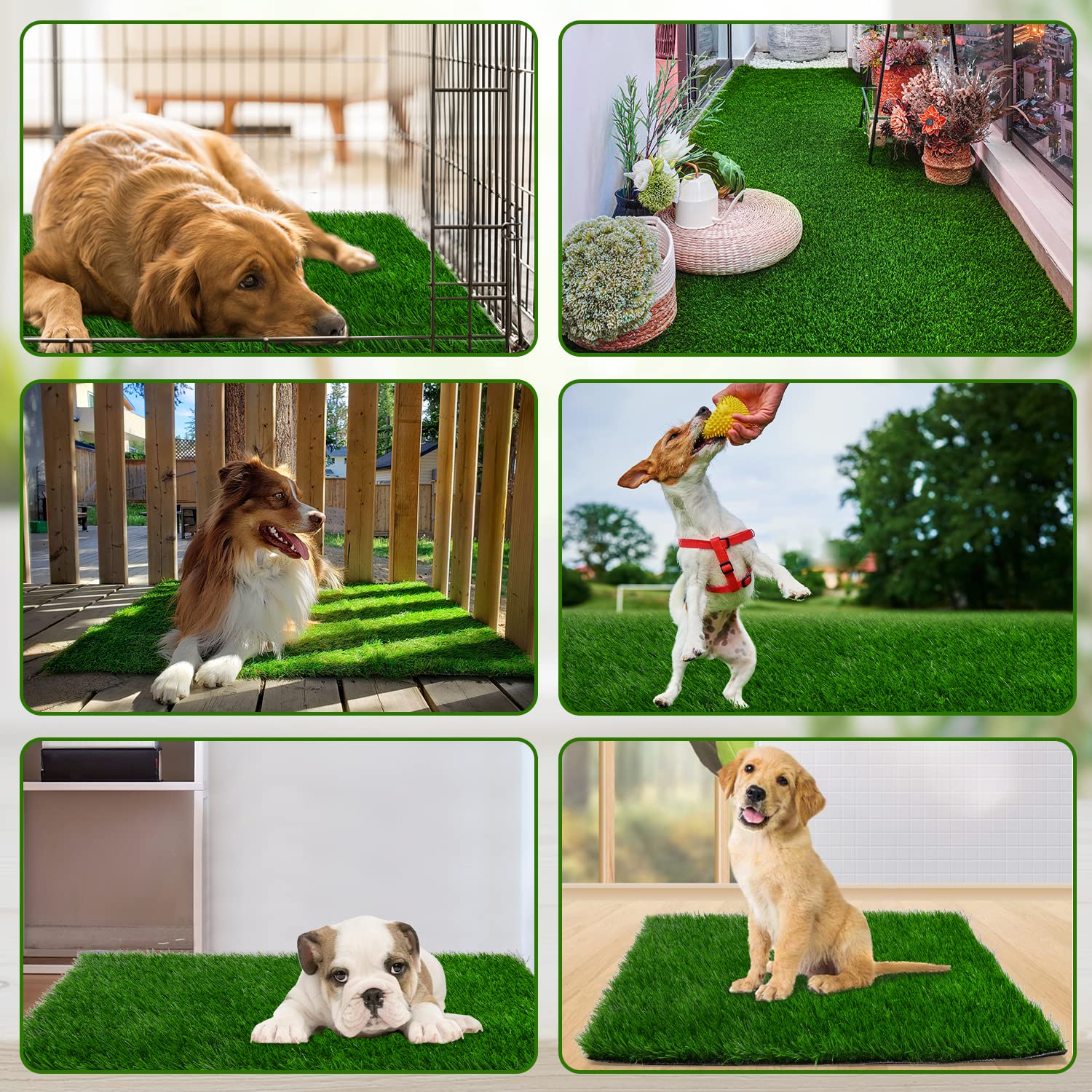 PICK FOR LIFE Grass Pad indoor outdoor use shows versatile placement for dogs.