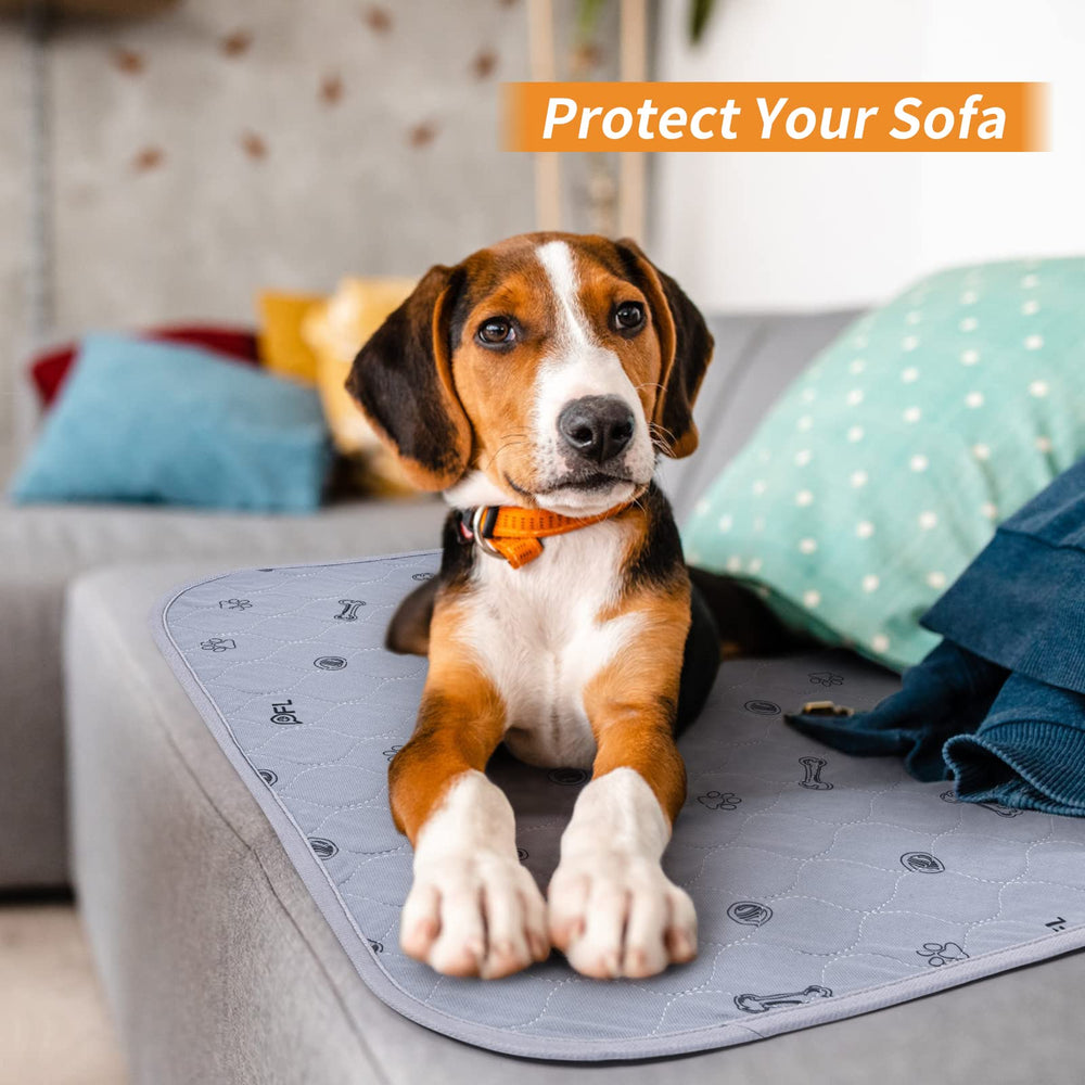 PICK FOR LIFE pad placed in kennel or playpen for protection