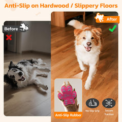 PICK FOR LIFE paw pads application demonstrates thin, comfortable wear for daily senior-dog use.