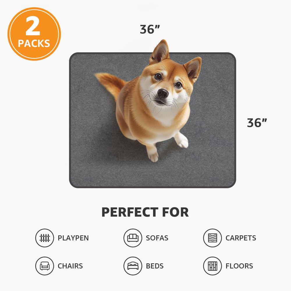 PICK FOR LIFE two-pack pads ready for rotation during potty training