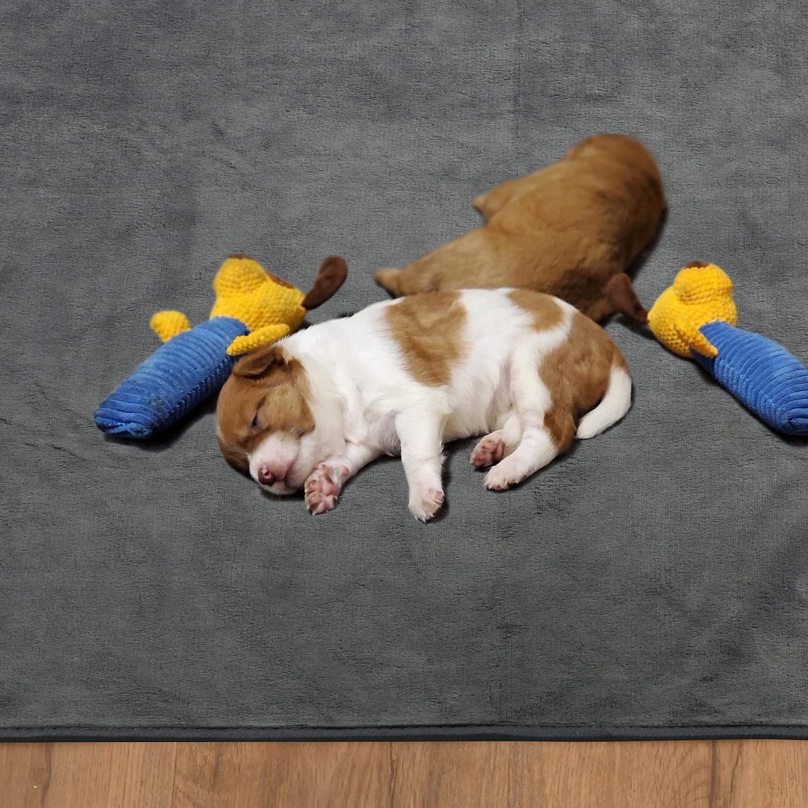 PICK FOR LIFE reusable dog pad supports whelping and crate protection