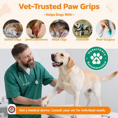 PICK FOR LIFE paw protector on a senior dog demonstrates improved stability.