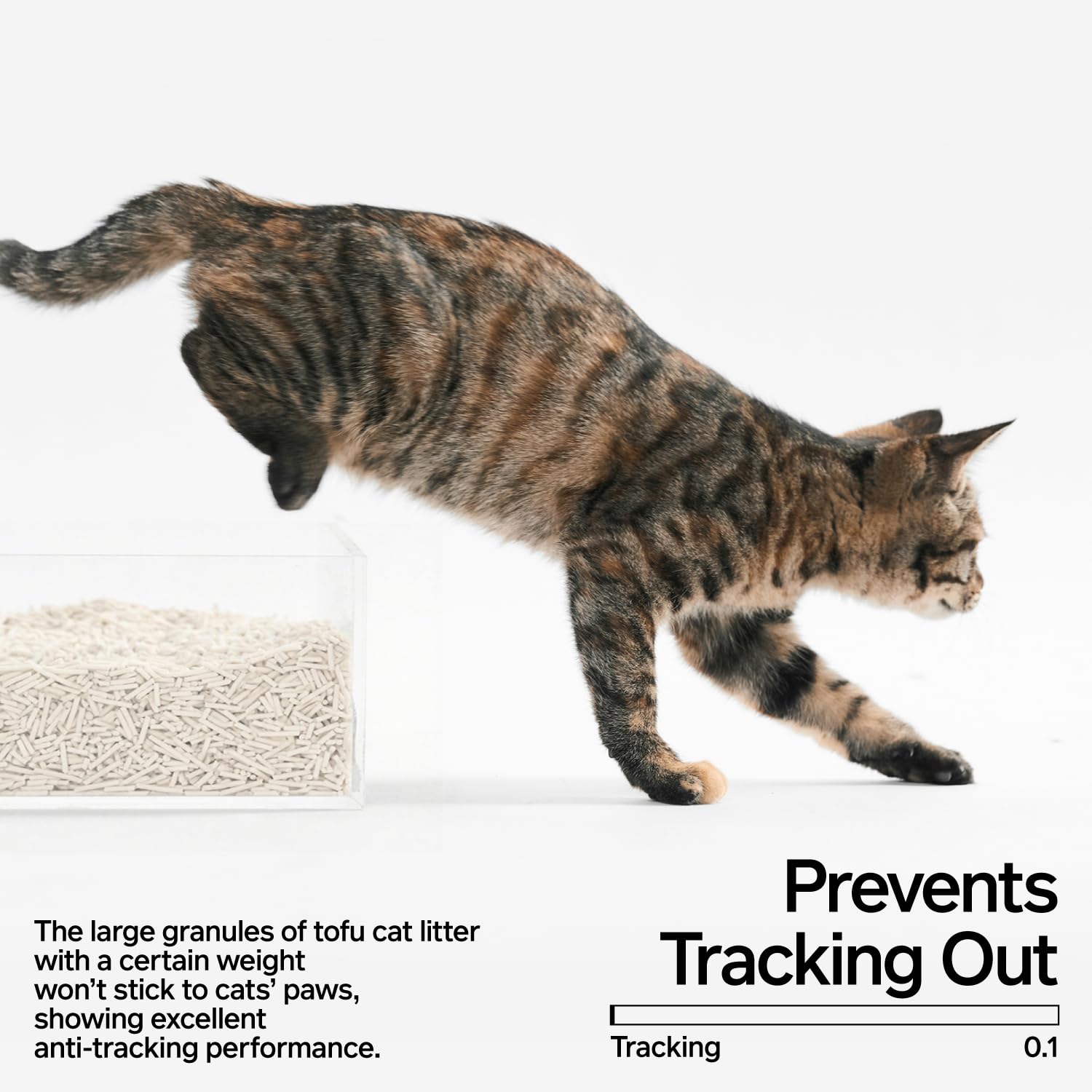 Pidan tofu cat litter water-solubility enables simple disposal