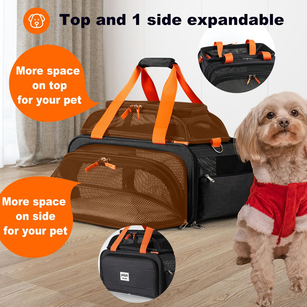 Pidipiti expandable pet carrier bottom padding highlights comfy resting area.