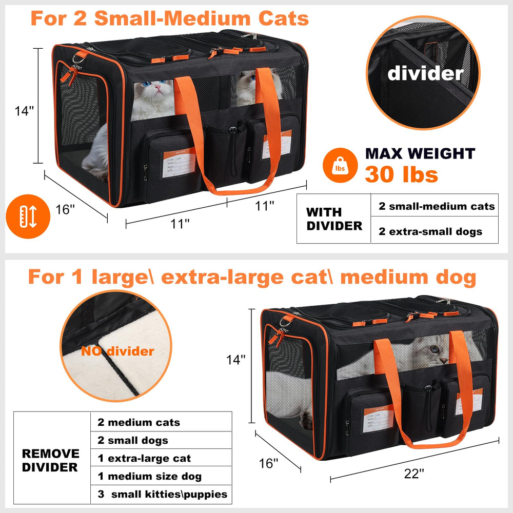 Pidipiti large double pet carrier divider attached demonstrates flexible configuration for two pets during vet visits