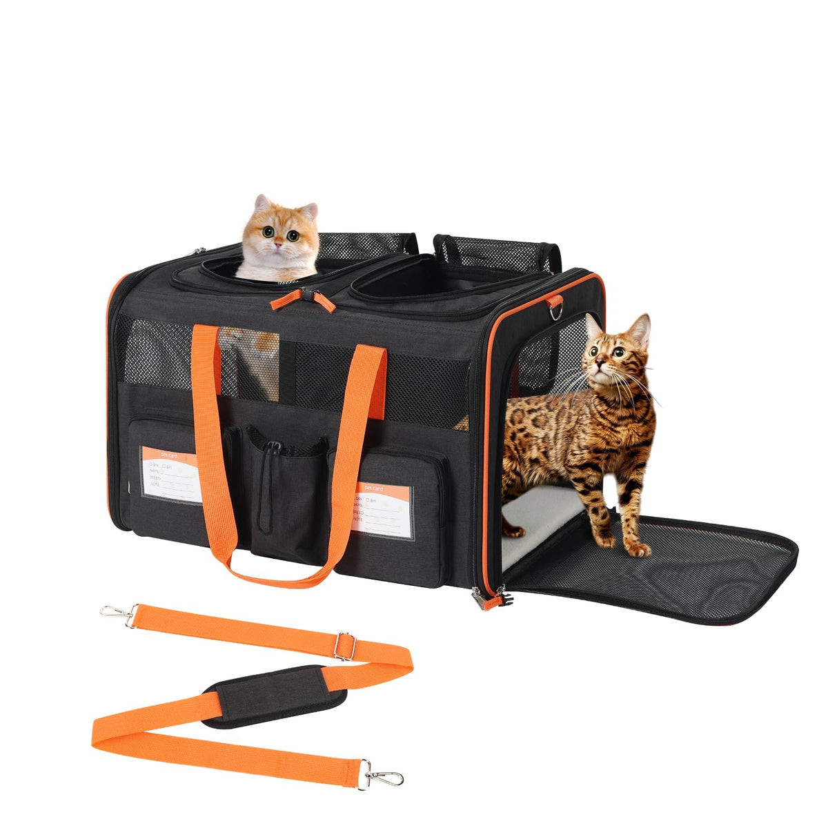 Pidipiti large double pet carrier top view shows spacious interior for two small cats, ideal for short trips