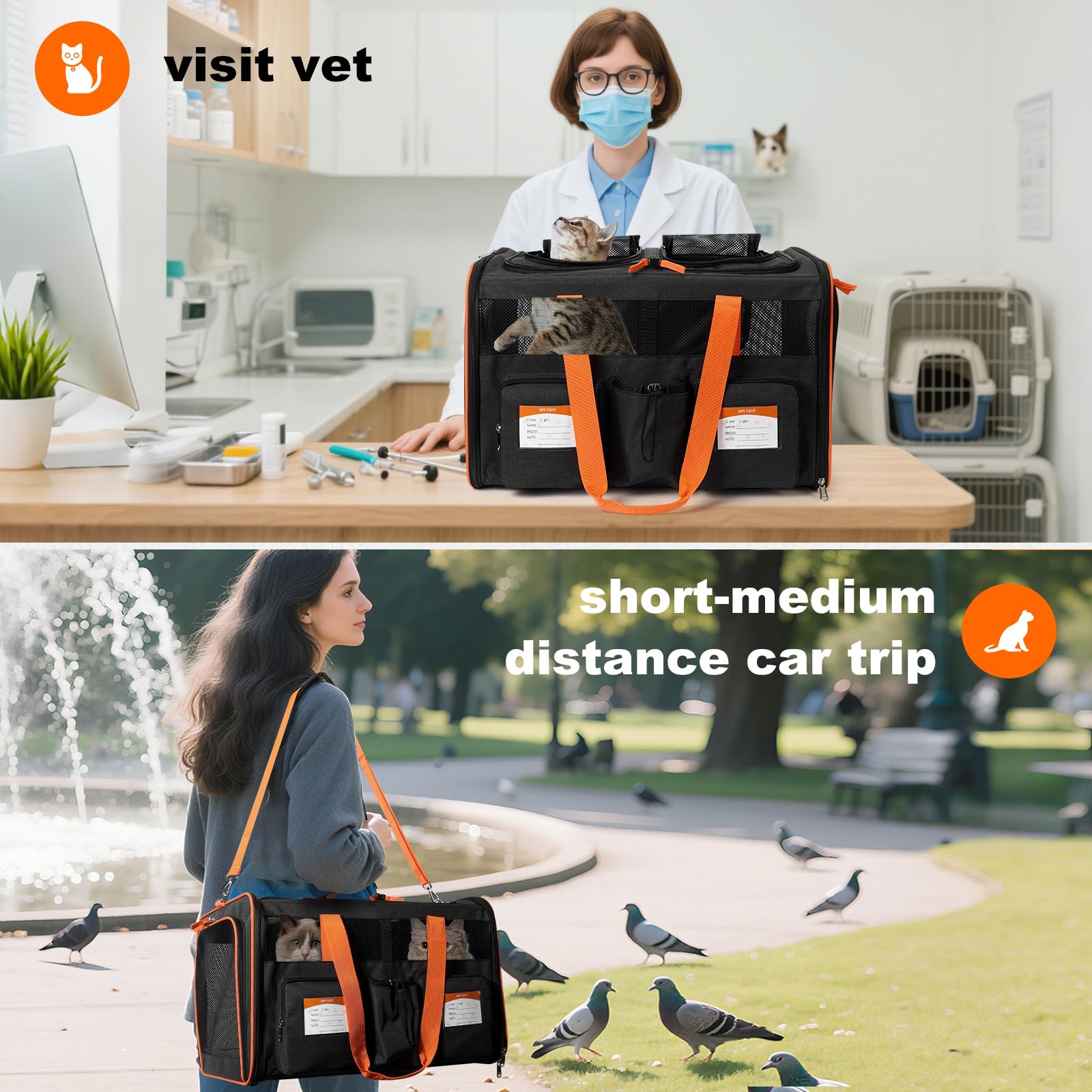 Pidipiti large double pet carrier washable padded bottom keeps clean and comfortable between washes