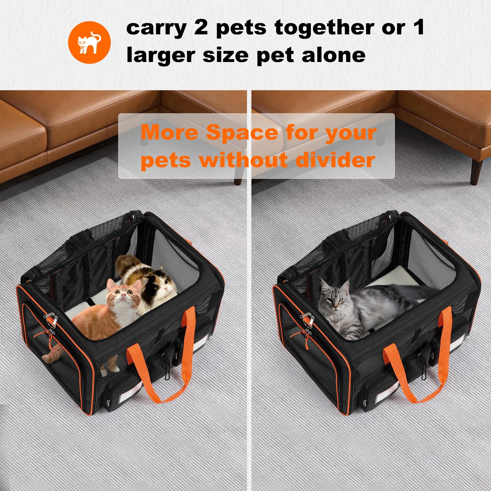 Pidipiti large double pet carrier with sturdy zippers and metal tethers for reliable security on trips