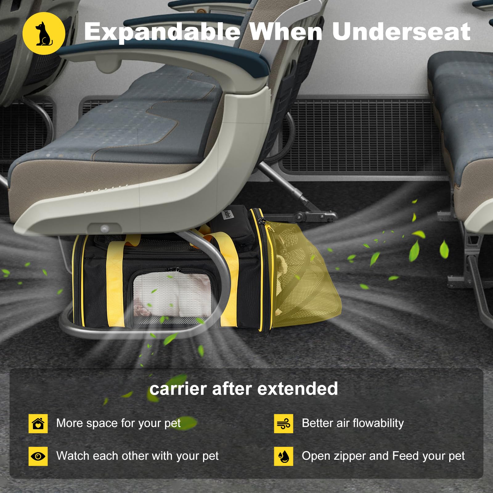 Pidipiti carrier with double metal frame keeps its shape during travel.