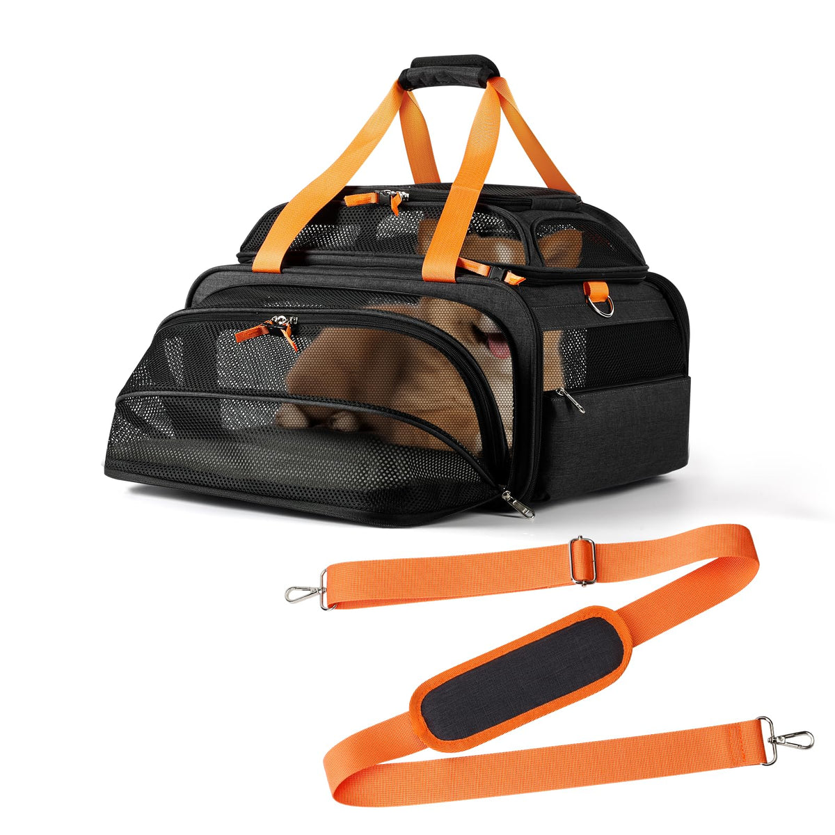 pidipiti pet carrier under-seat design for airline travel and space-saving comfort