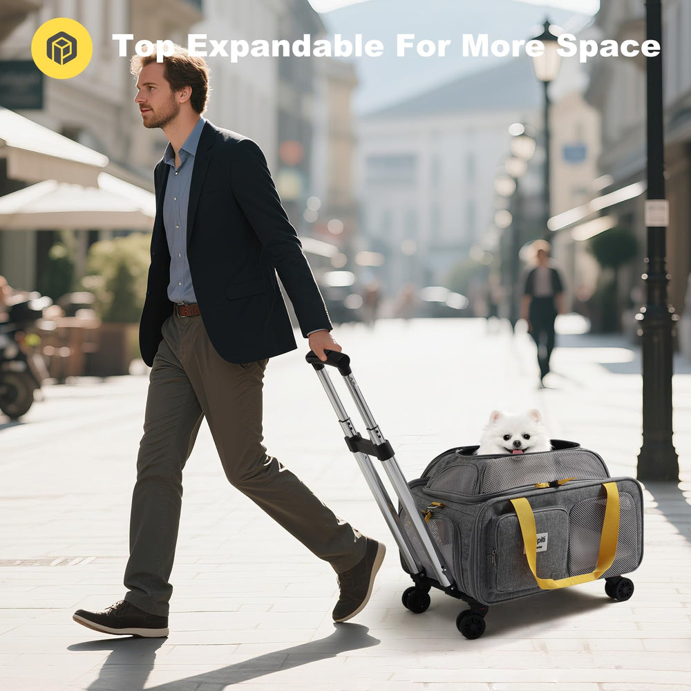 Pidipiti small-dog carrier sized for pets up to 8 pounds and under 17 inches.