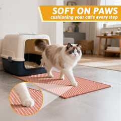 Pieviev Cat Litter Mat honeycomb top-down view captures litter types efficiently.
