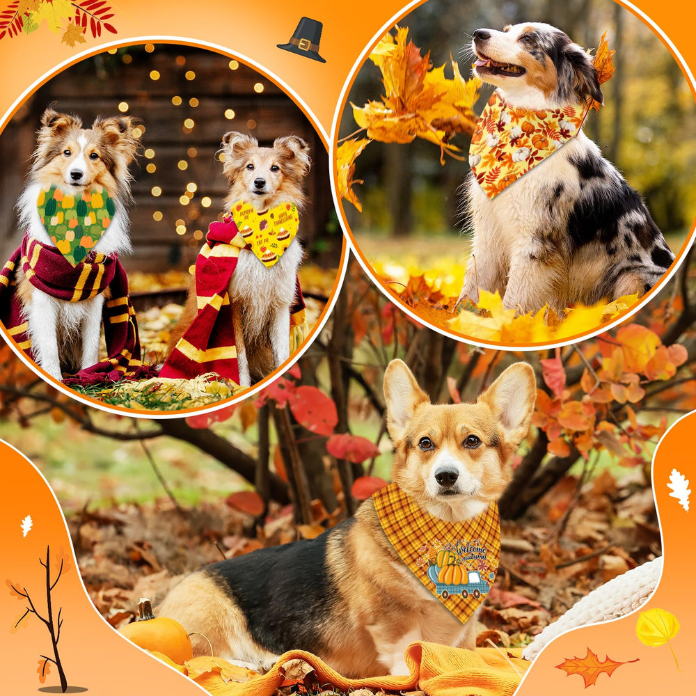 Piklodo fall-patterns highlighting pumpkins and turkeys for standout seasonal outfits.