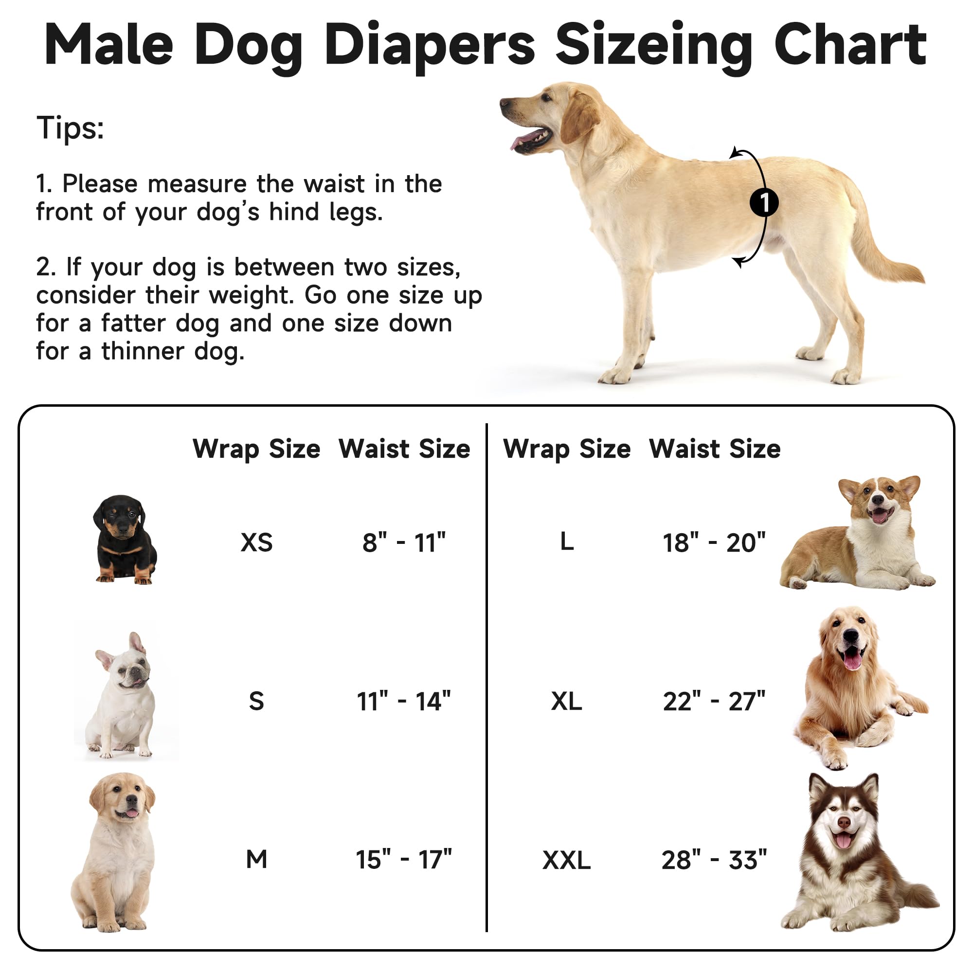 Pilviset 5 Pack Dog Diapers male closeup fabric and Velcro demonstrates secure, adjustable fit.